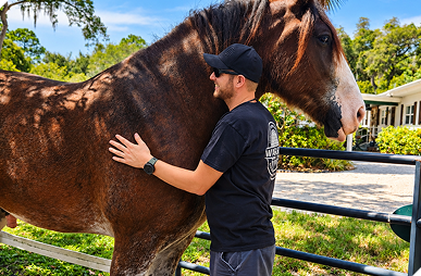 Rider carrying an American flag on horseback, illustrating Warrior Wellness equine therapy